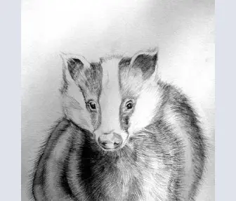 Badger