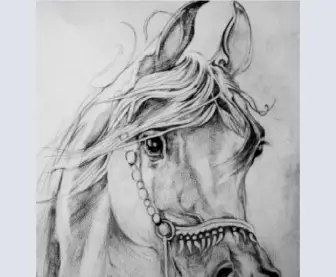 'Cenzio' Arabian Stallion