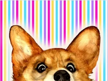 Corgo