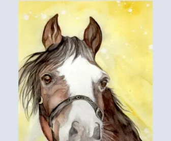 'Danny' Welsh Cob