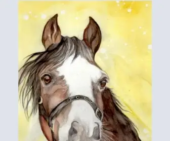 'Danny' Welsh Cob