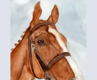 'Dream Alliance' Thoroughbred