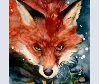 Foxy