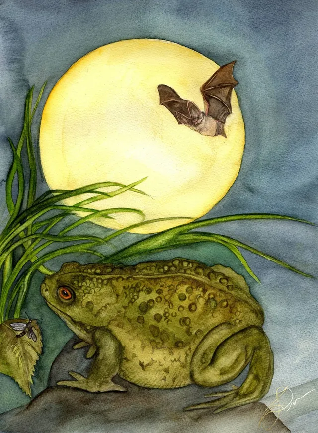 Mabon Moon Toad (Gold Edition)