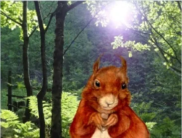 Miss Squirrel of Tylwch Woods
