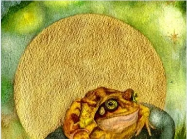 Moon Frog