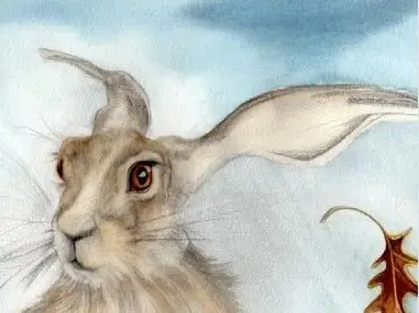 Oak Leaf Hare
