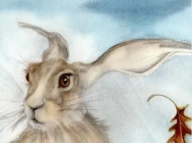 Oak Leaf Hare