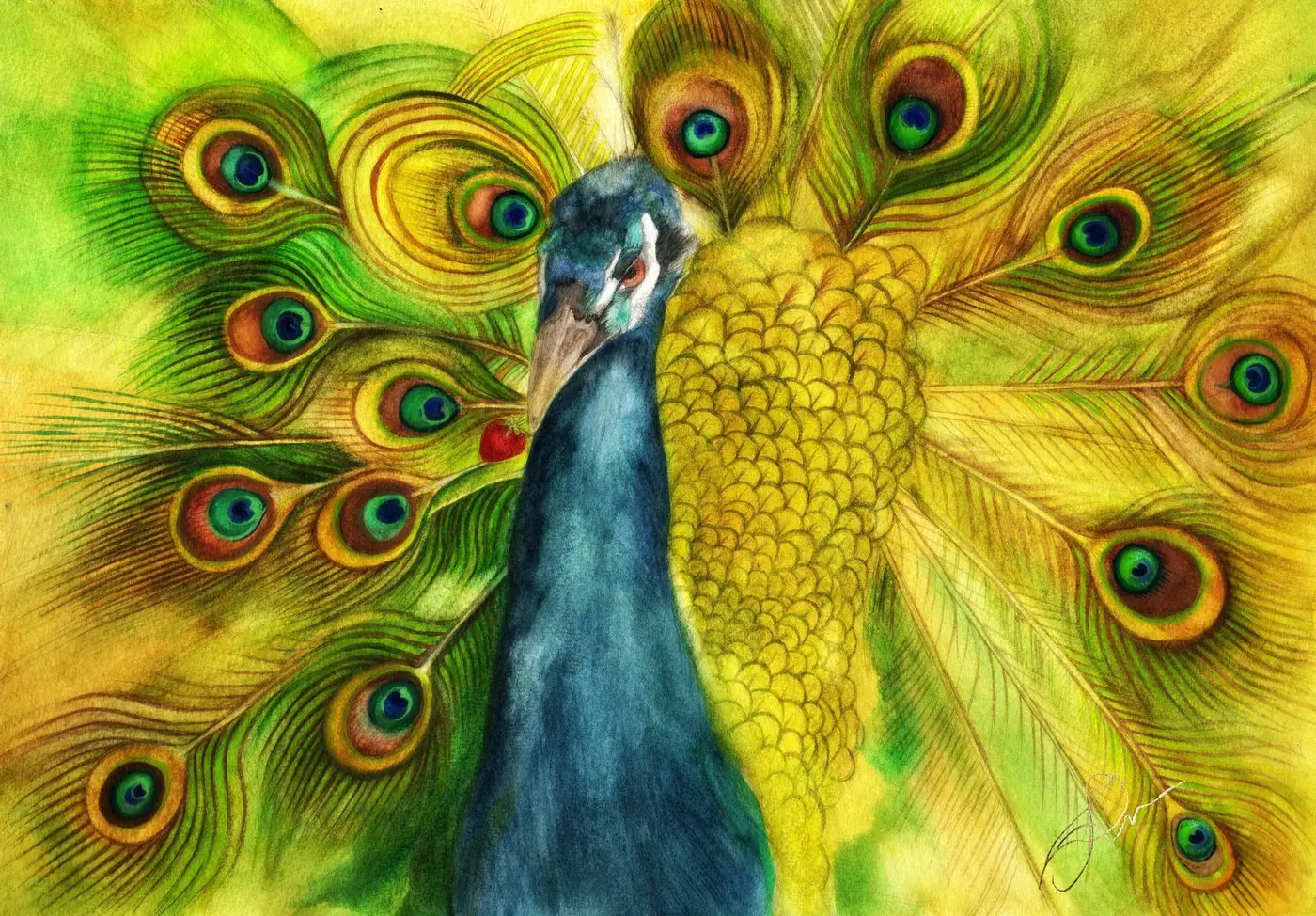 Peacocks Love Strawberries